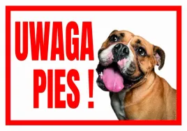 uwaga-pies-buldog-tabliczka-ostrzegawcza