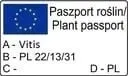 winorosl-lidia-rozowa-wczesna-deserowa-odporna-2l-nazwa-lacinska-vitis-vinifera
