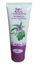 zel-z-zywokostem-i-boswellia-200ml-gorvita