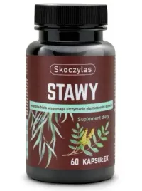 stawy-kadzidlowiec-biala-wierzba-60kaps-skoczylas