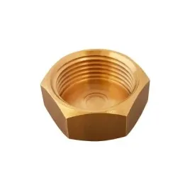 mosiezny-zaslepka-1-gwint-wewnetrzny-869