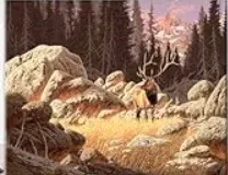 zestaw-do-malowania-po-numerach-los-40-x-50-cm-tishiron