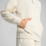 ess-script-comfort-hoodie-tr-alpine-sno-marka-puma