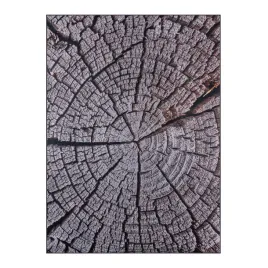 dywan-160x220-cm-do-salonu-pokoju-drewno-brazowy-pien-drzewa-sloje-bcf-braz