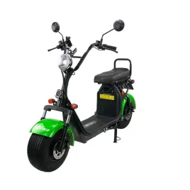 skuter-elektryczny-bili-coco-g4-12ah-zielony