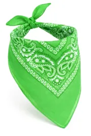 chusta-chustka-bandana-bandamka-zielona-trawiasta-jasna-kowboj