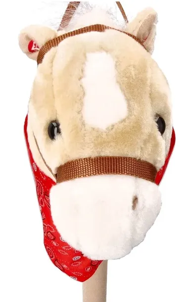 konik-na-patyku-achal-rodzaj-inne