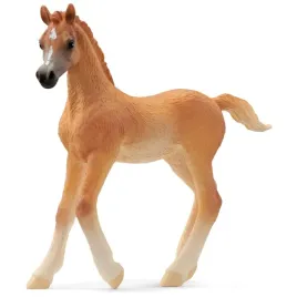 konik-kon-schleich-horse-club-zrebie-czystej-krwi-arabskiej-13984