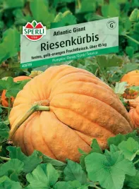 nasiona-sperli-dynia-atlantic-giant-premium-9-gram