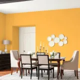 ppg-moc-koloru-cytrynowa-beza-25l-rodzaj-scienna