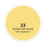 ppg-moc-koloru-sloneczny-blask-25l-stan-nowy