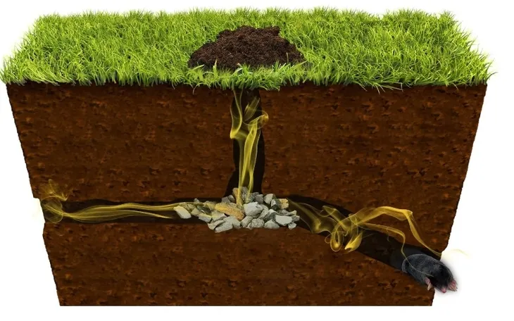 bros-karbid-granulowany-1kg-kod-producenta-387-stan-nowy