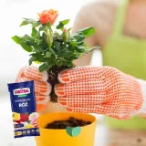 sub-osmo-podloze-roze-20lx120-marka-substral