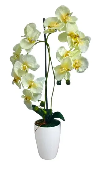 biopon-biopon-do-storczykow-05l-waga-0-5-kg