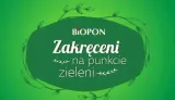 biopon-do-paproci-05l-stan-nowy-zastosowanie-do-roslin-lisciastych