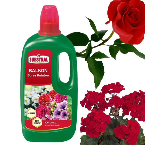 substral-nawoz-pelargonia-1l-zastosowanie-do-pielegnacji-kwiatow