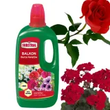 substral-nawoz-pelargonia-1l-zastosowanie-do-pielegnacji-kwiatow