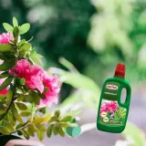 substral-nawoz-pelargonia-1l-stan-nowy-forma-plyn