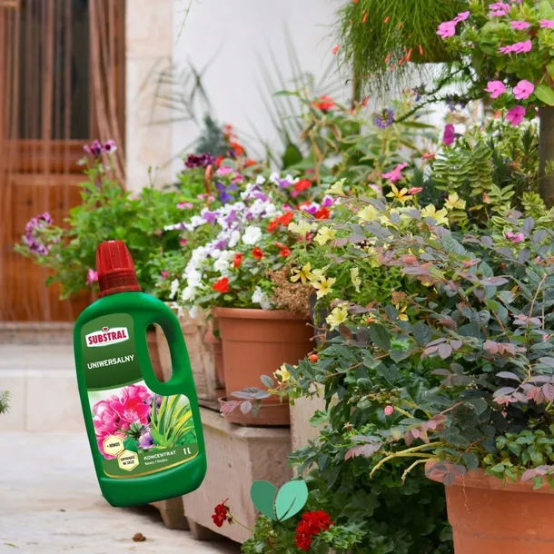 substral-nawoz-pelargonia-1l-stan-nowy-waga-1-kg