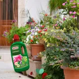 substral-nawoz-pelargonia-1l-stan-nowy-waga-1-kg