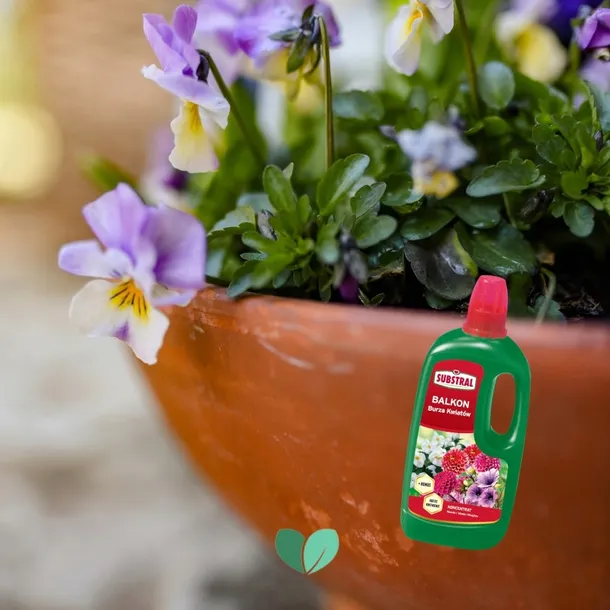 substral-nawoz-pelargonia-1l-stan-nowy-rodzaj-nawozu-wieloskladnikowy