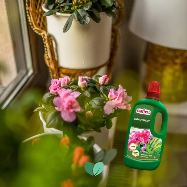 substral-nawoz-pelargonia-1l-stan-nowy-okres-stosowania-caly-rok