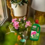 substral-nawoz-pelargonia-1l-stan-nowy-okres-stosowania-caly-rok