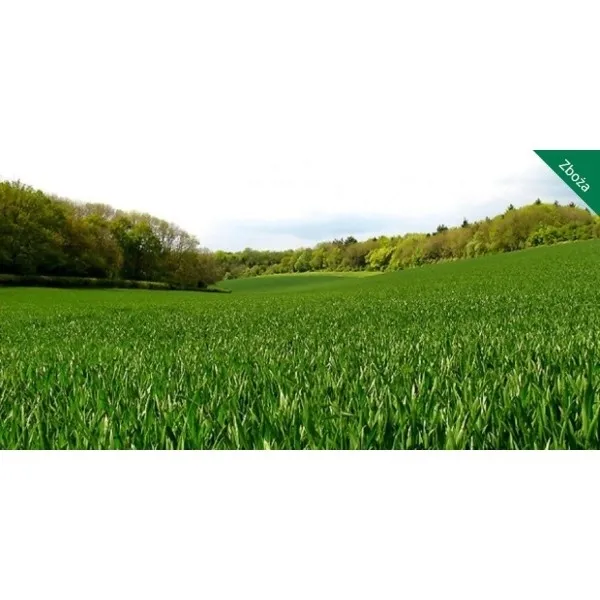 hydrokomplex-yaramila-complex-25kg-12-11-18-forma-granulat