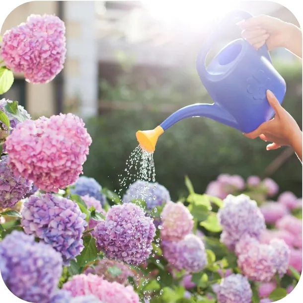 sub-osmo-2w1-rododendron-300g-kod-producenta-01