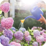 sub-osmo-2w1-rododendron-300g-kod-producenta-01