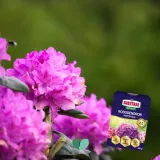 sub-osmo-2w1-rododendron-300g-forma-granulat-waga-0-35-kg
