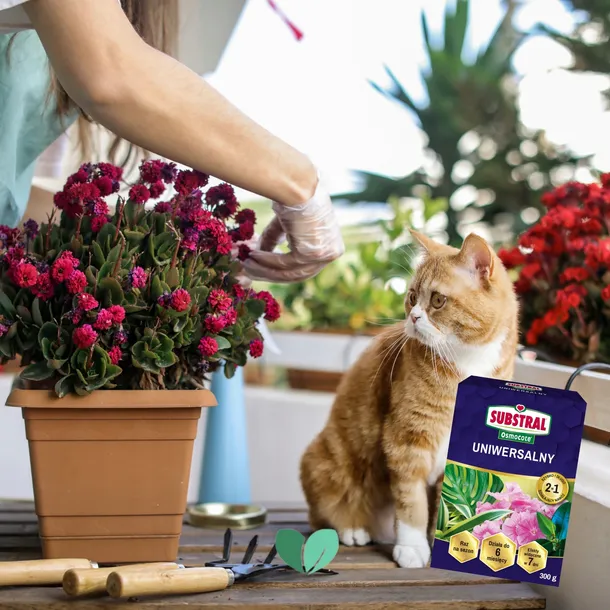 sub-osmo-2w1-uniwersalny-20l-waga-0-3-kg