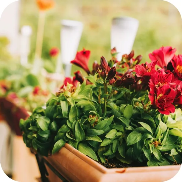 sub-osmo-2w1-uniwersalny-20l-stan-nowy-forma-granulat