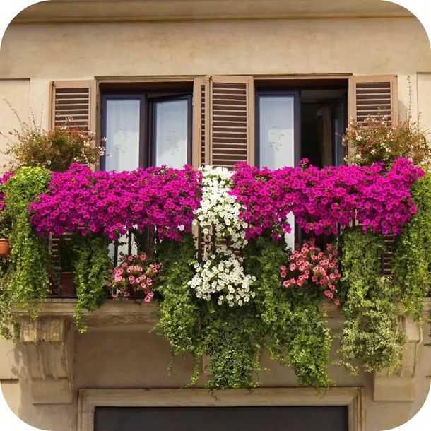 sub-osmo-2w1-uniwersalny-20l-stan-nowy-waga-0-3-kg