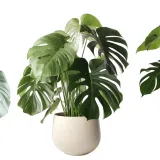 sub-osmo-2w1-uniwersalny-20l-stan-nowy-okres-stosowania-caly-rok