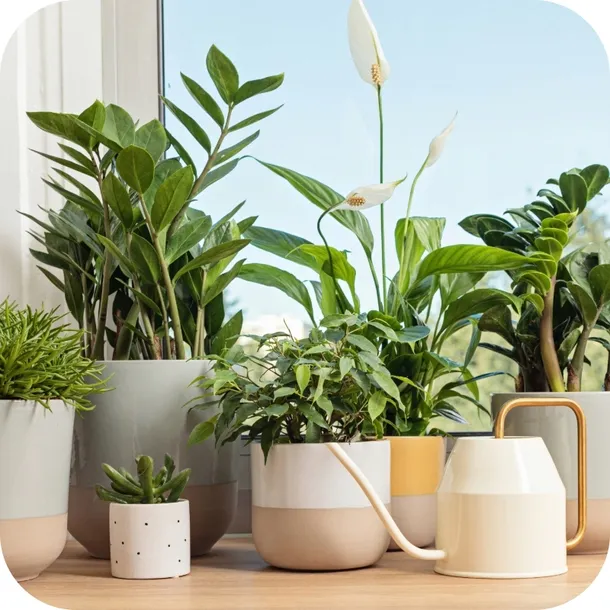 sub-osmo-2w1-uniwersalny-20l-forma-granulat-stan-nowy