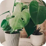 sub-osmo-2w1-uniwersalny-20l-forma-granulat-waga-0-3-kg