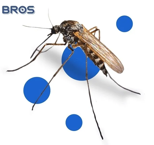 bros-elektro-10-wkladow-na-komary-stan-nowy-kod-producenta-010