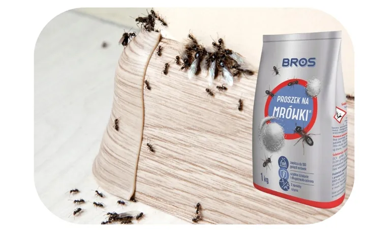 bros-proszek-na-mrowki-1kg-worek-rodzaj-proszek-stan-nowy