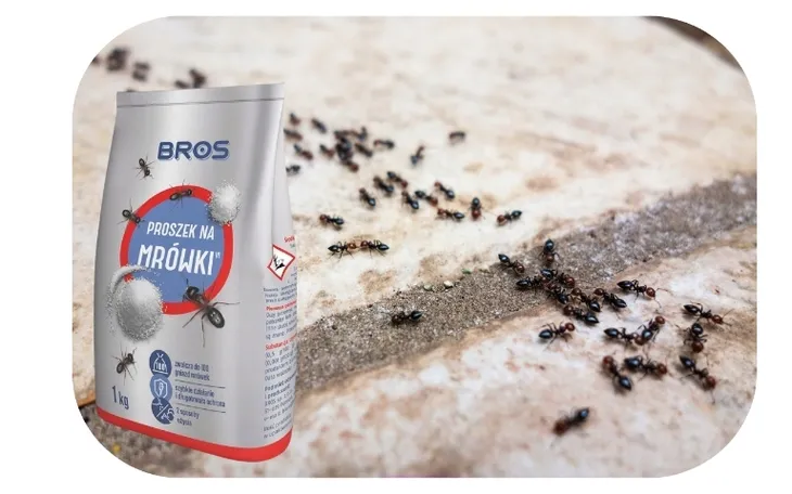 bros-proszek-na-mrowki-1kg-worek-rodzaj-proszek-pojemnosc-1000-ml