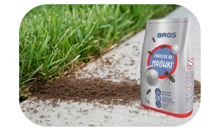 bros-proszek-na-mrowki-1kg-worek-pojemnosc-1000-ml-rodzaj-proszek