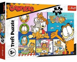 16521-100-leniwy-garfield-gar