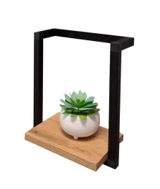 polka-scienna-ster-ii-25-cm