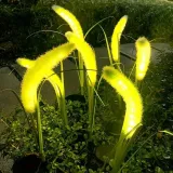 lampa-solarna-led-flora-3000k-stan-nowy