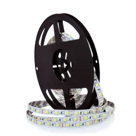 pasek-led-polux-lt-5060mww0-1-12v-45w-5m-ip20-ww-2300lm