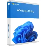 microsoft-windows-11-pro-pl