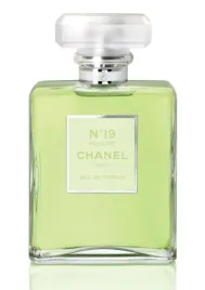 chanel-no-19-poudre-eau-de-parfum-100ml