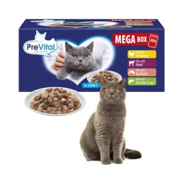 40-x-mokra-karma-dla-kota-prevital-mega-box-mix-smaki-w-sosie-100g-saszetki