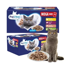80-x-mokra-karma-dla-kota-prevital-mega-box-mix-smaki-w-sosie-100g-saszetki