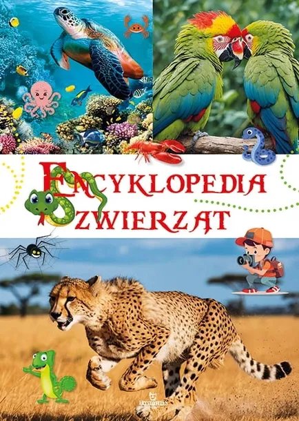 Encyklopedia zwierząt edukacja dla dzieci nauka duże wydanie